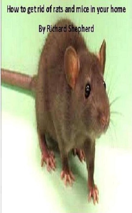 Dealing With Rats and Mice In Your Home - Kill or Humane Methods