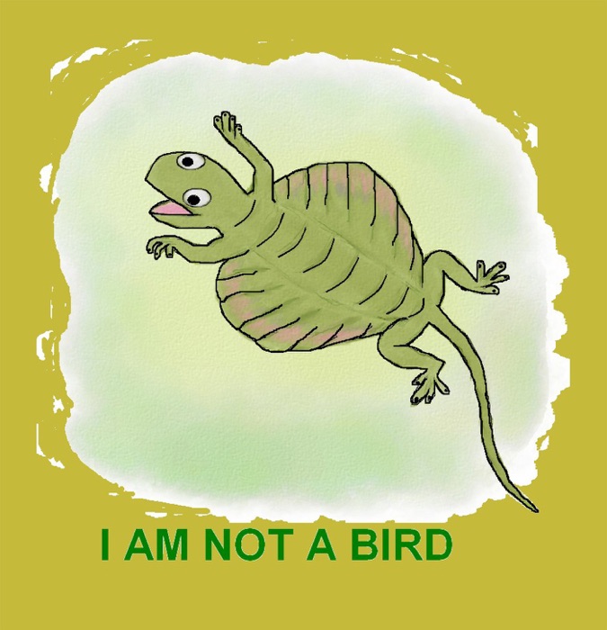 I Am Not a Bird