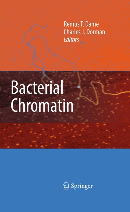 Bacterial Chromatin