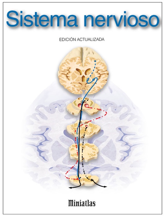 Miniatlas Sistema Nervioso