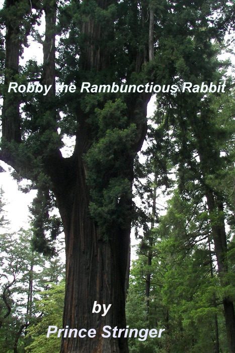 Robby the Rambunctious Rabbit