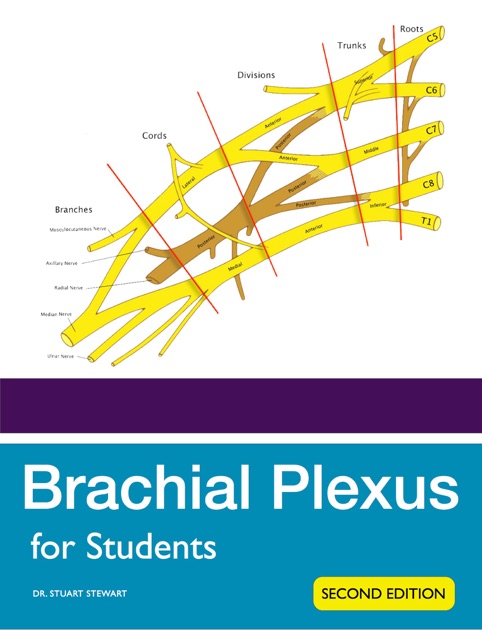 Brachial Plexus for Students by Stuart Stewart on Apple Books