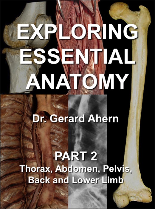 Exploring Essential Anatomy: Part 2