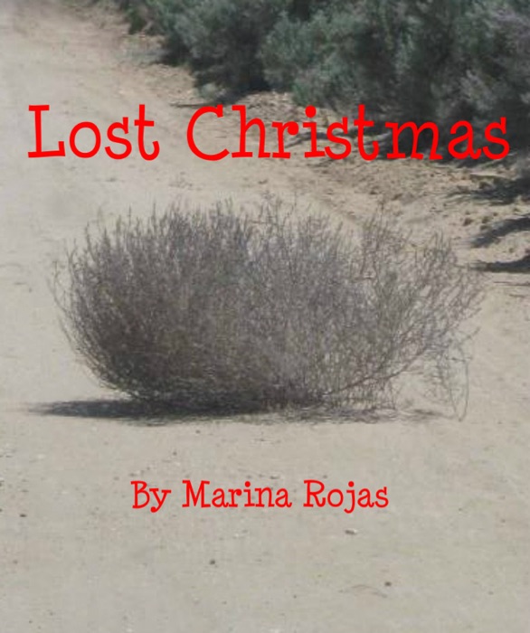 Lost Christmas