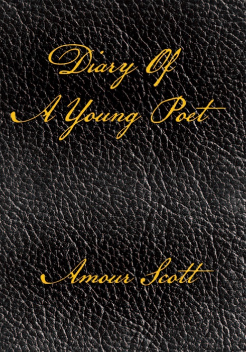 Diary Of A Young Poet