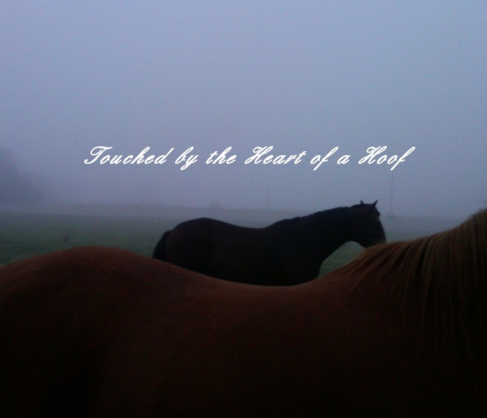 Touched by the Heart of a Hoof