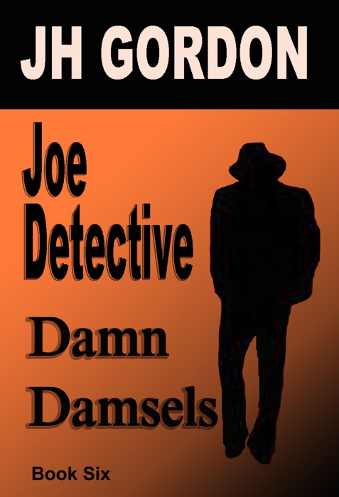 Joe Detective:  Damn Damsels (Book Six)