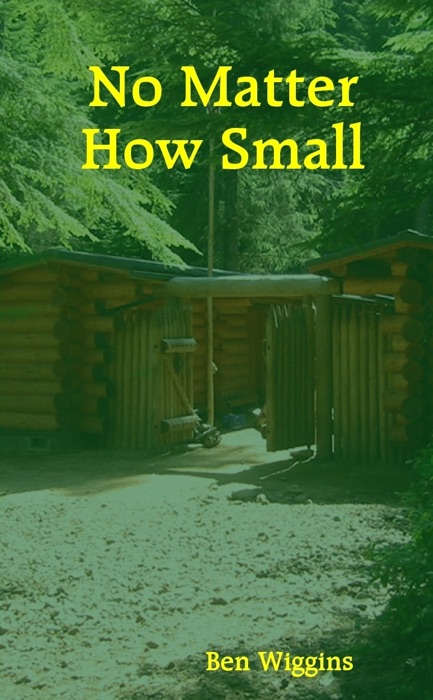 No Matter How Small