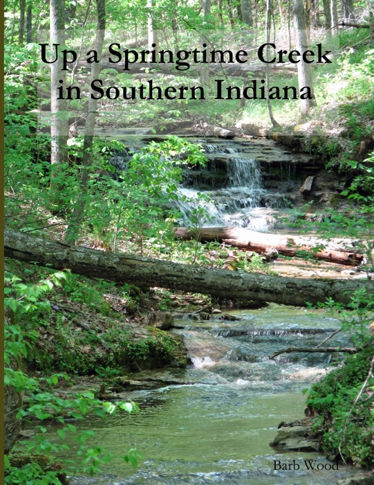 Up a Springtime Creek In Southern Indiana