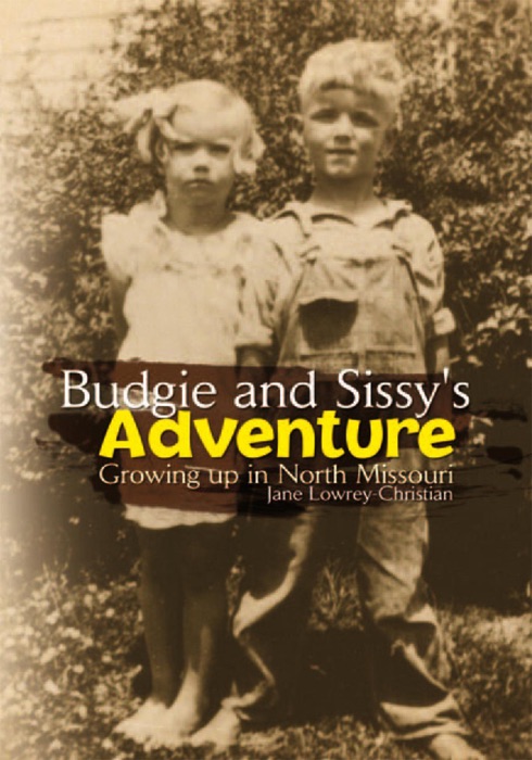 Budgie and Sissy's Adventure