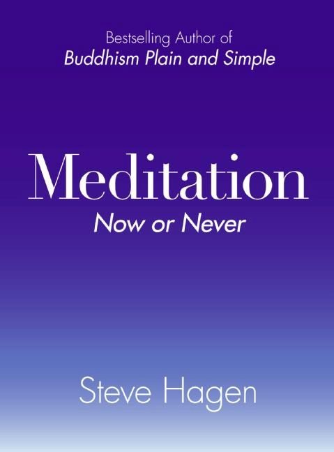 Meditation Now or Never