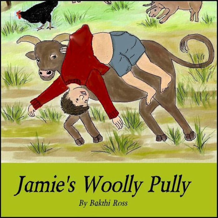 Jamie's Woolly Pully