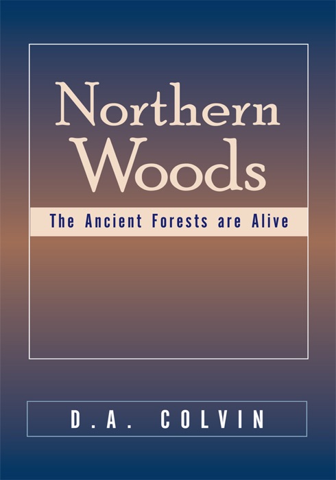 Northern Woods