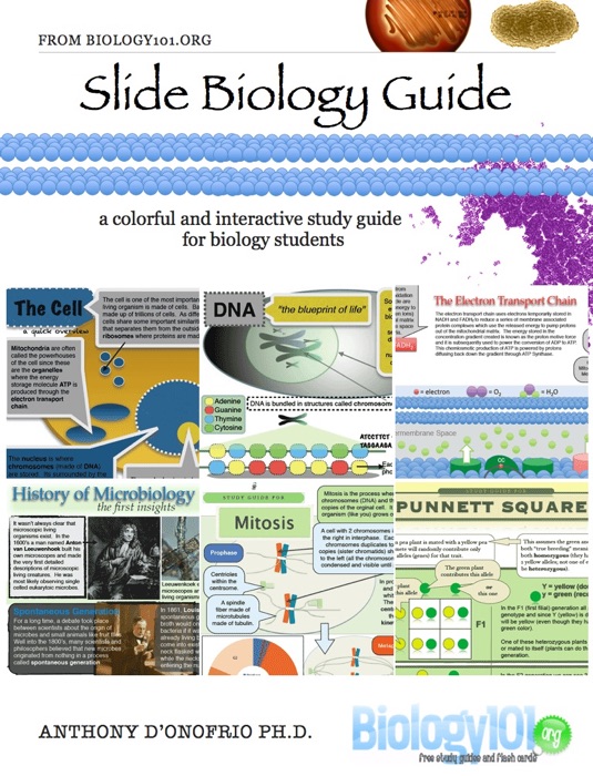 Slide Biology Guide