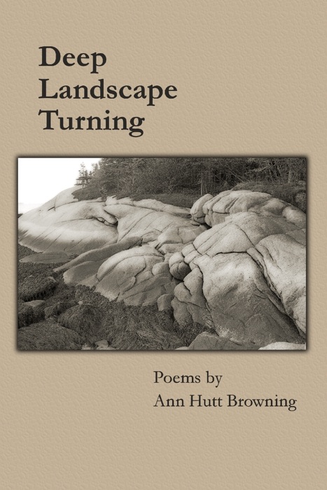 Deep Landscape Turning