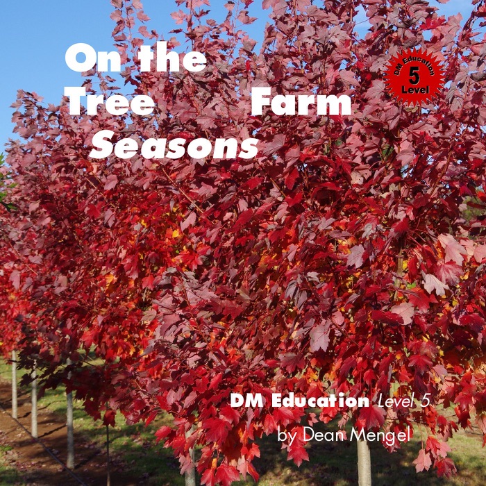 On the Tree Farm Seasons