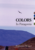 Colors in Patagonia - Francesco Morace