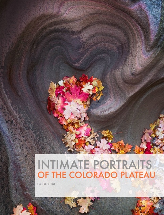 Intimate Portraits of the Colorado Plateau