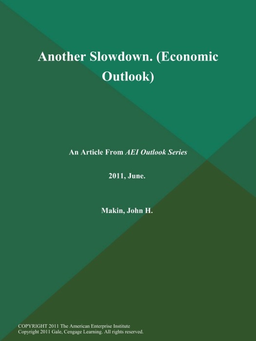 Another Slowdown (Economic Outlook)