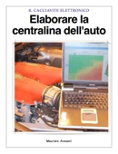 Elaborare la centralina dell'auto - Maurizio Avesani