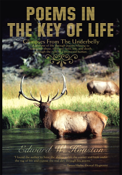 Poems In the Key of Life