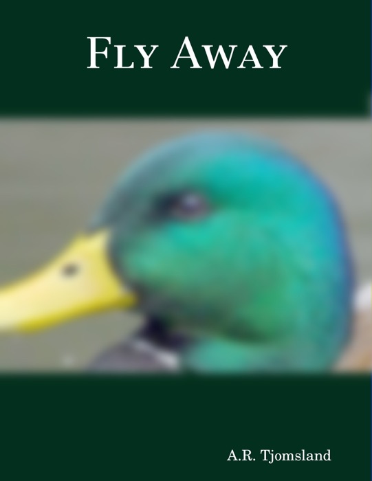 Fly Away