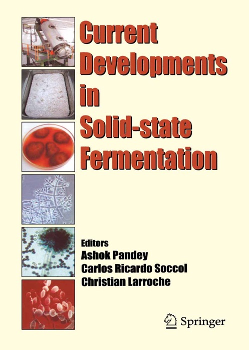 Current Developments in Solid-state Fermentation