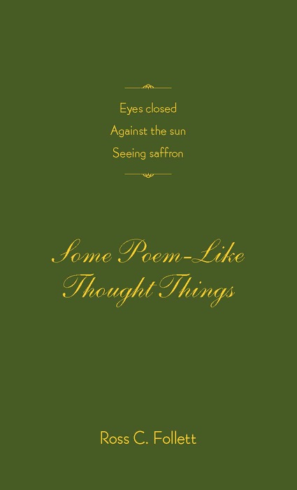 Eyes Closed Against the Sun Seeing Saffron: Some Poem Like Thought Things