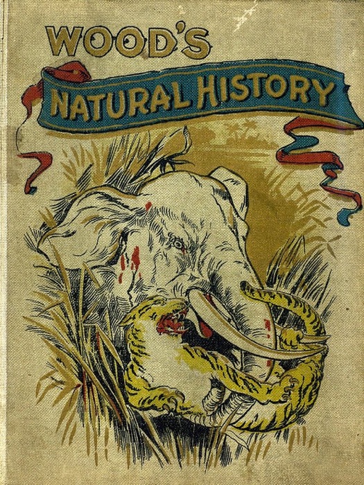 Illustrated Natural History for Young People