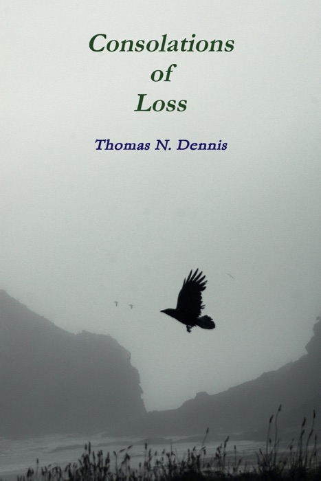 Consolations of Loss