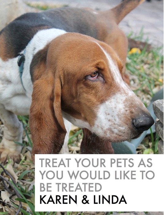 Treat Your Pets as You Would Like to Be Treated