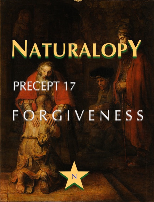 Naturalopy Precept 17: Forgiveness