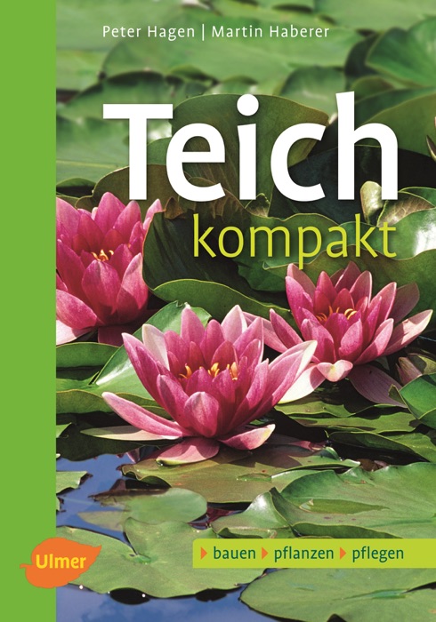 Teich kompakt