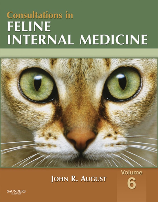 Consultations in Feline Internal Medicine, Volume 6 -