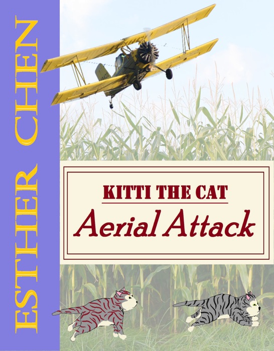 Kitti The Cat: Aerial Attack