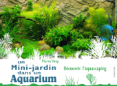 Un mini jardin dans un aquarium - Pierre Yang