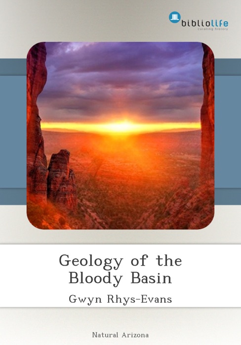 Geology of the Bloody Basin