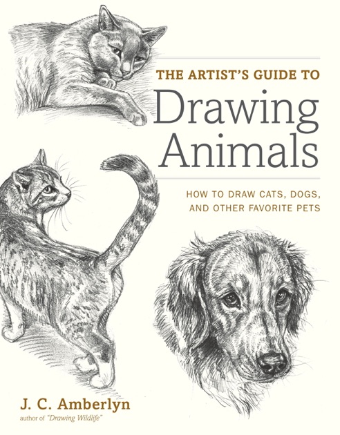 The Artist's Guide to Drawing Animals by J.C. Amberlyn on Apple Books