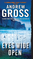 Andrew Gross - Eyes Wide Open artwork