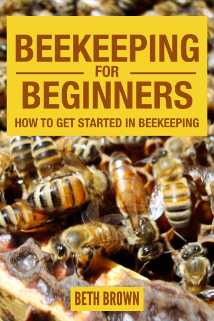 Beekeeping For Beginners How To Get Started In