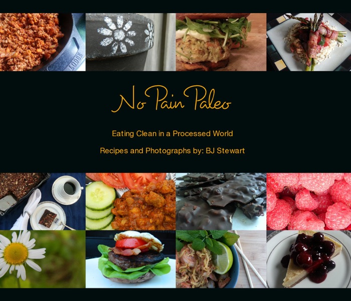 No Pain Paleo