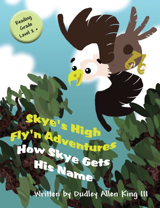 Skye's High Fly'n Adventures