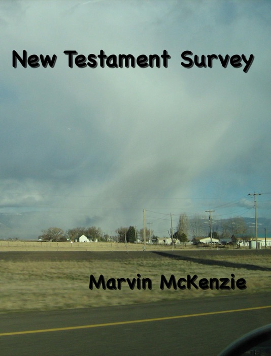 New Testament Survey