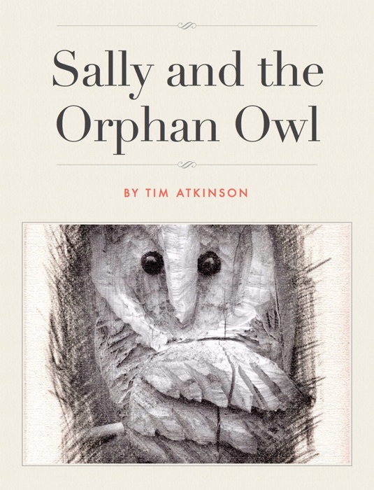 Sally and the Orphan Owl
