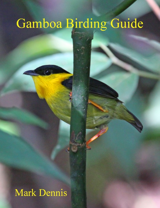 Gamboa Birding Guide