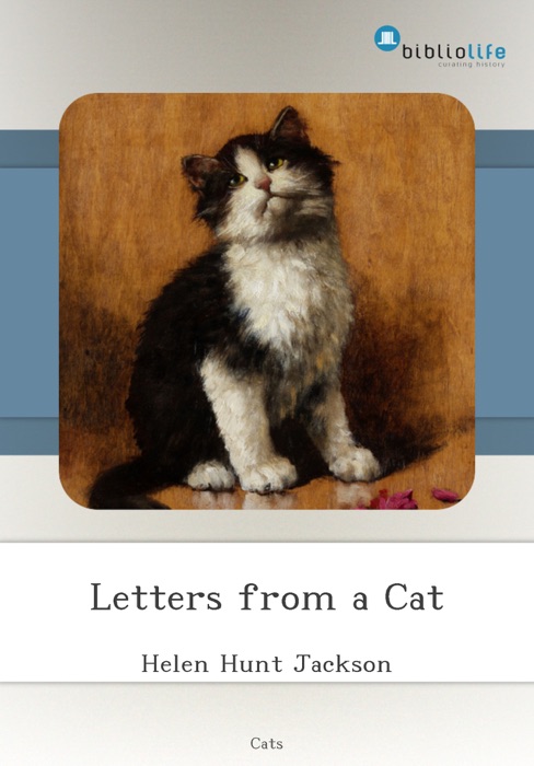 Letters from a Cat