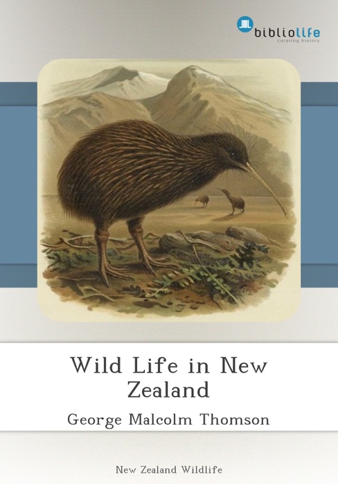 Wild Life in New Zealand
