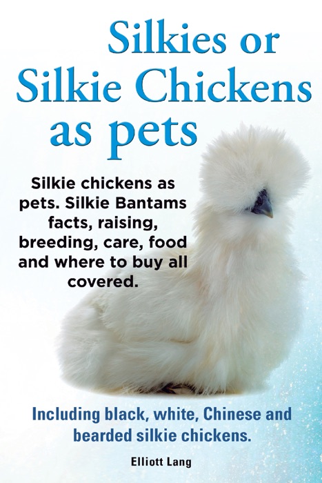 Silkies or Silkie Chickens as pets