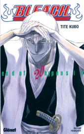 Bleach Tome 20