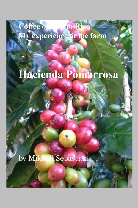 Coffee of Puerto Rico My experience at the farm Hacienda Pomarrosa